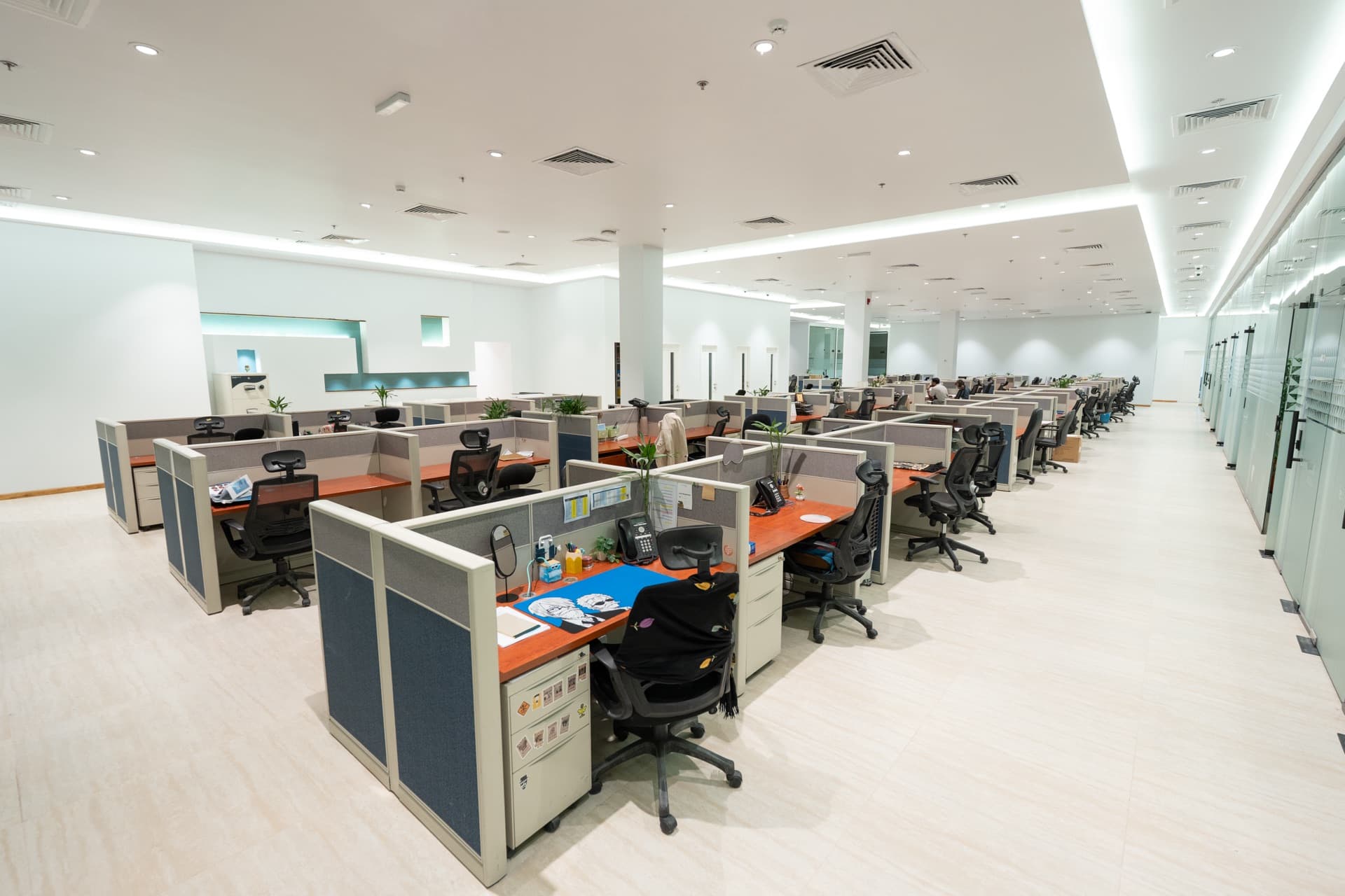 Empire interior fit-out project